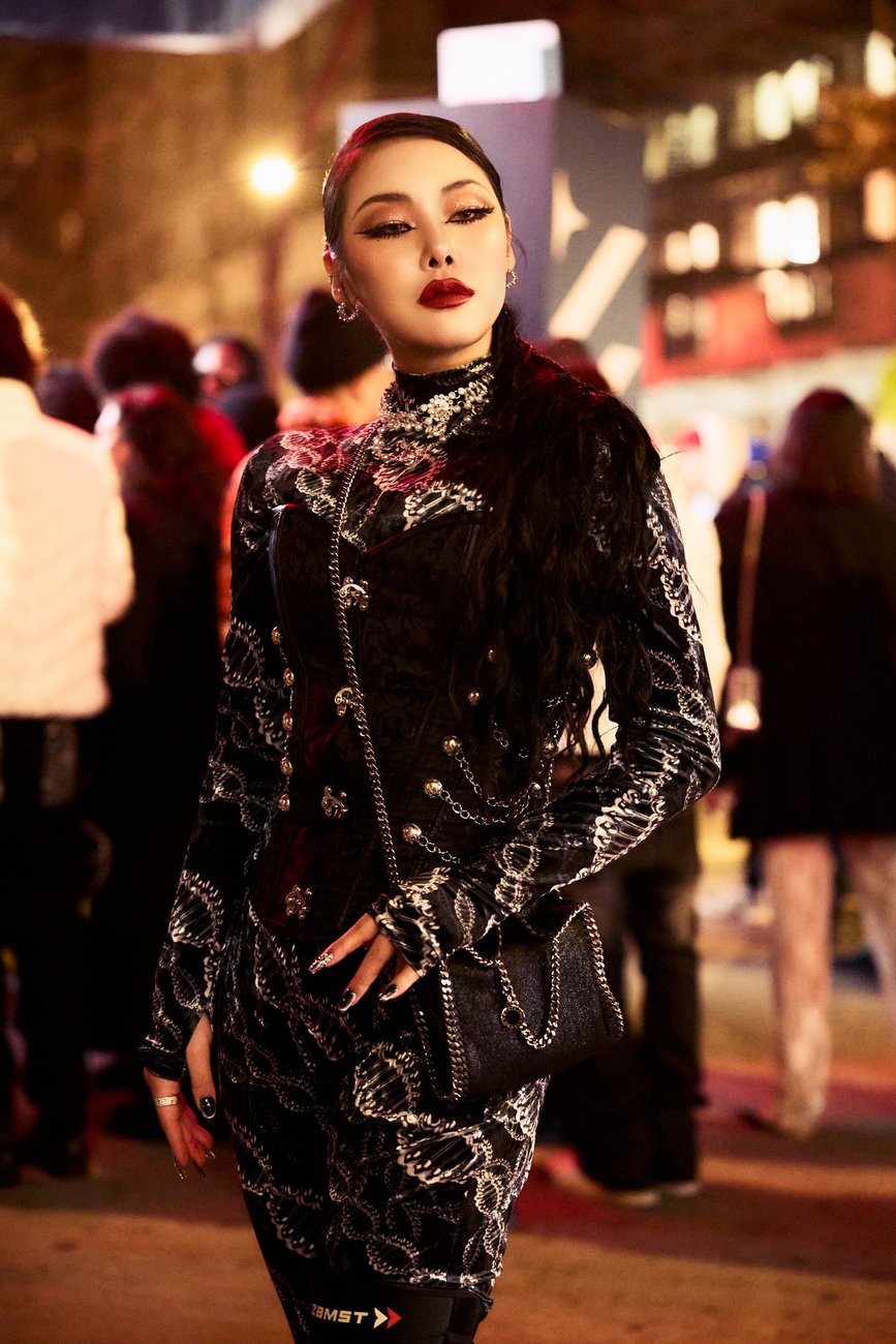 Cheetah profile photo 2