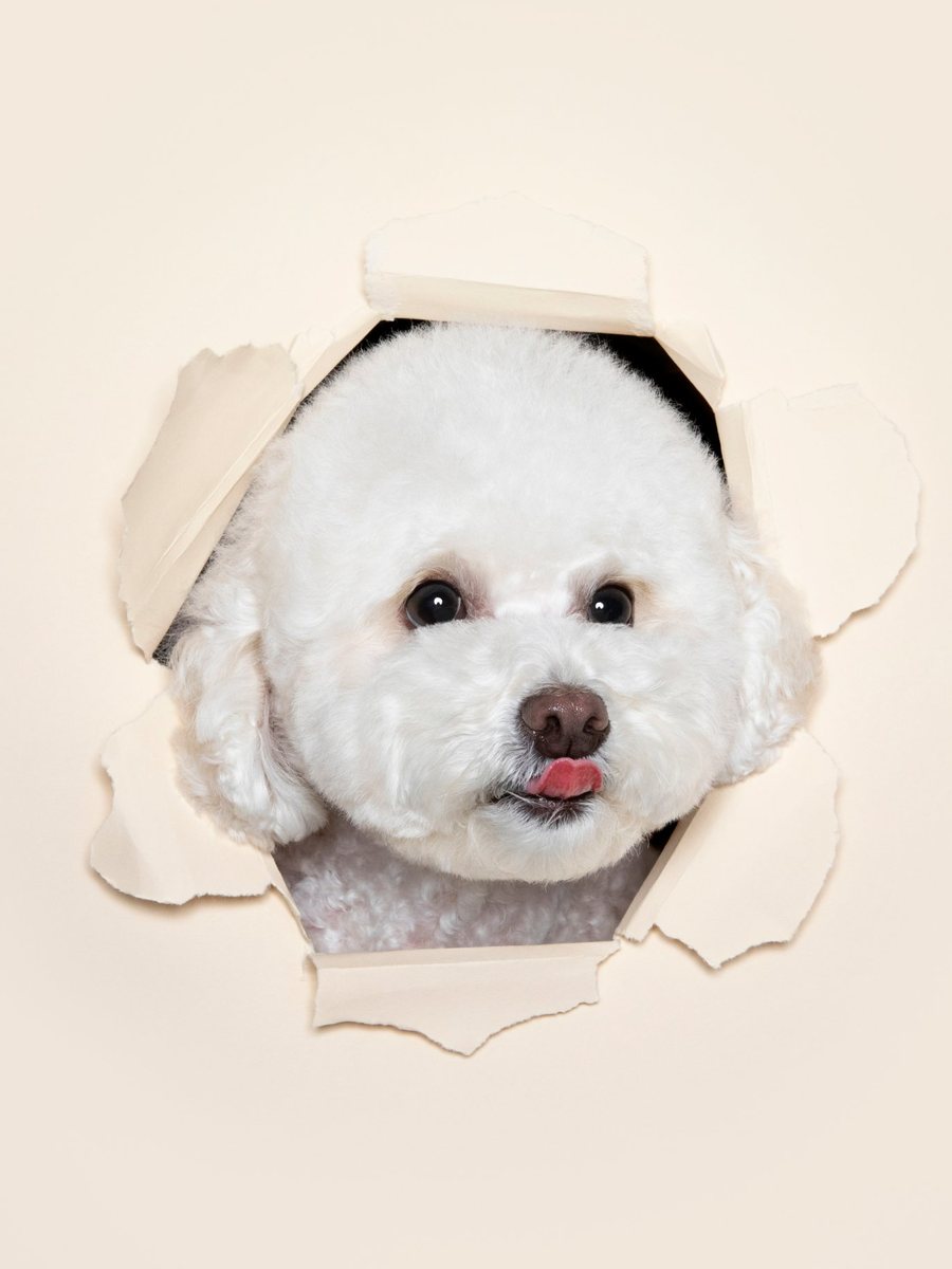 Pury Kim profile photo 1