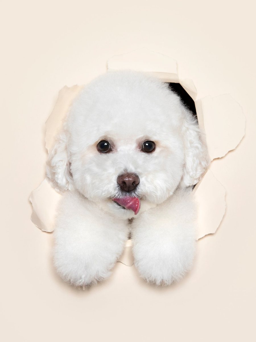 Pury Kim profile photo 2