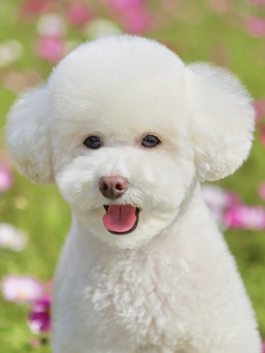 Pury Kim profile photo 10