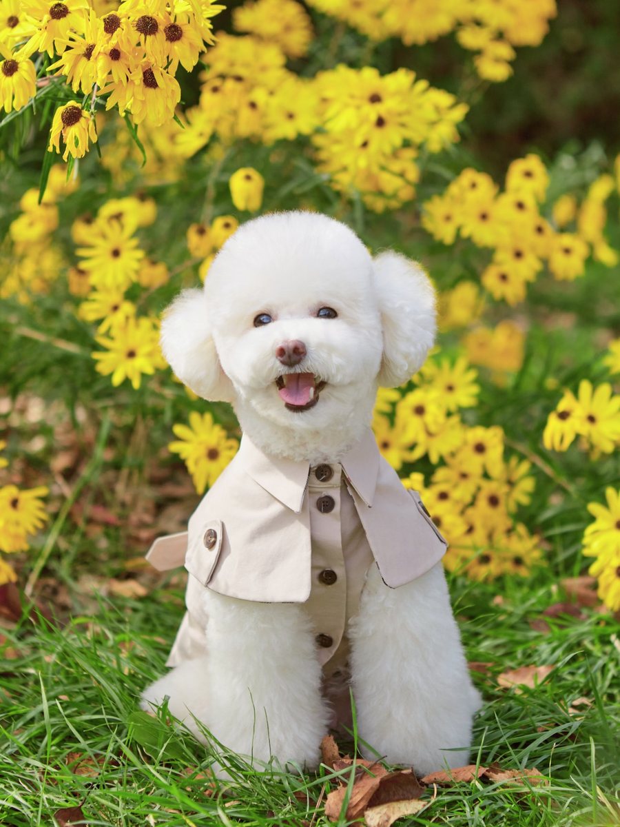 Pury Kim profile photo 13